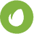 Envato Icon